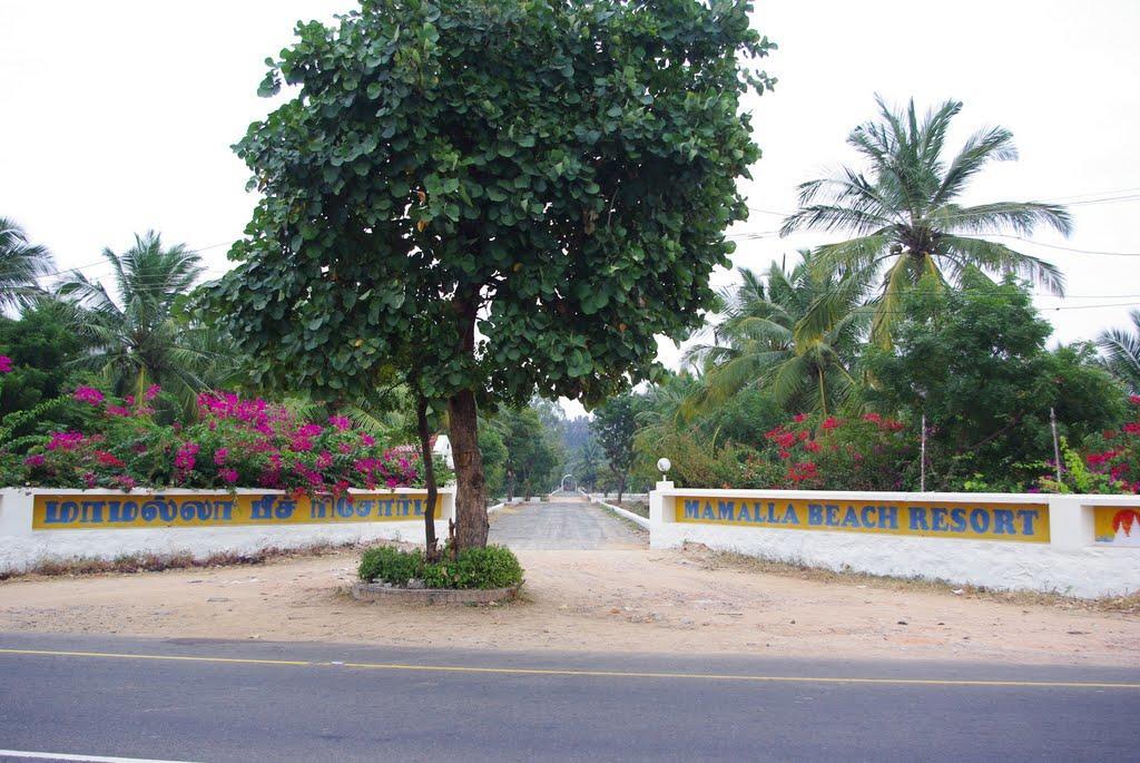 Mamalla Beach Resort مهاباليبورام المظهر الخارجي الصورة