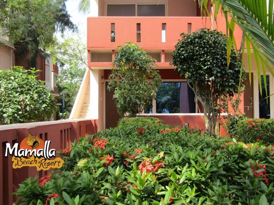Mamalla Beach Resort مهاباليبورام المظهر الخارجي الصورة