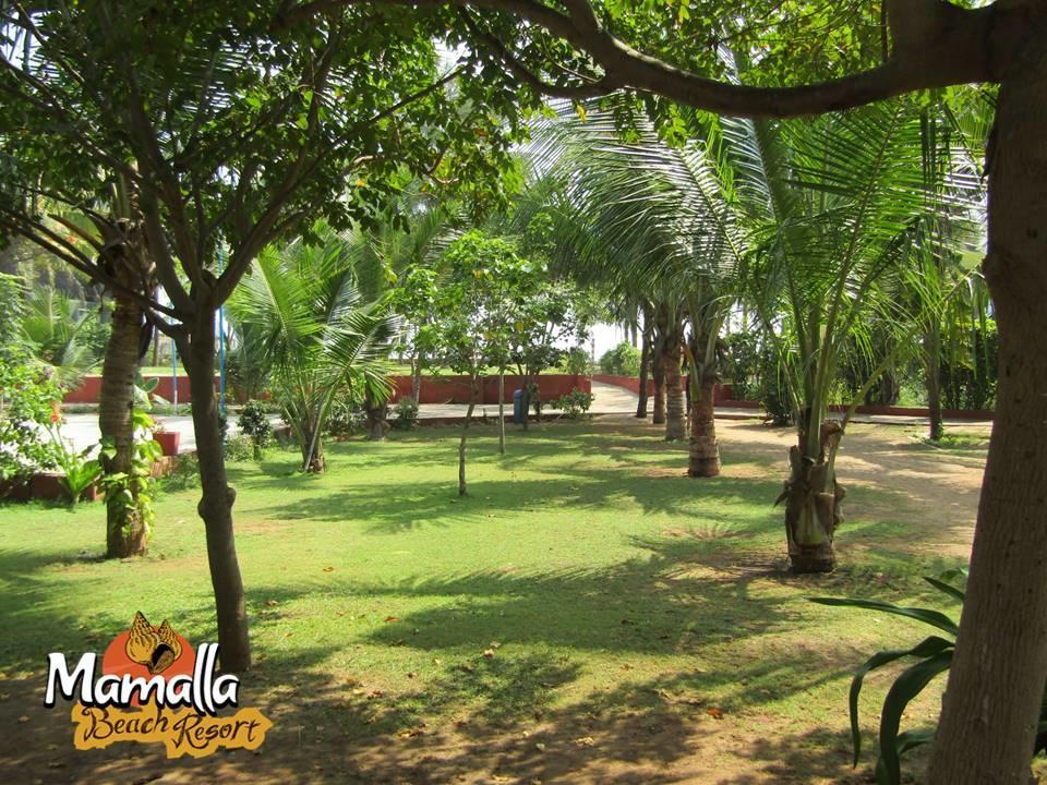 Mamalla Beach Resort مهاباليبورام المظهر الخارجي الصورة