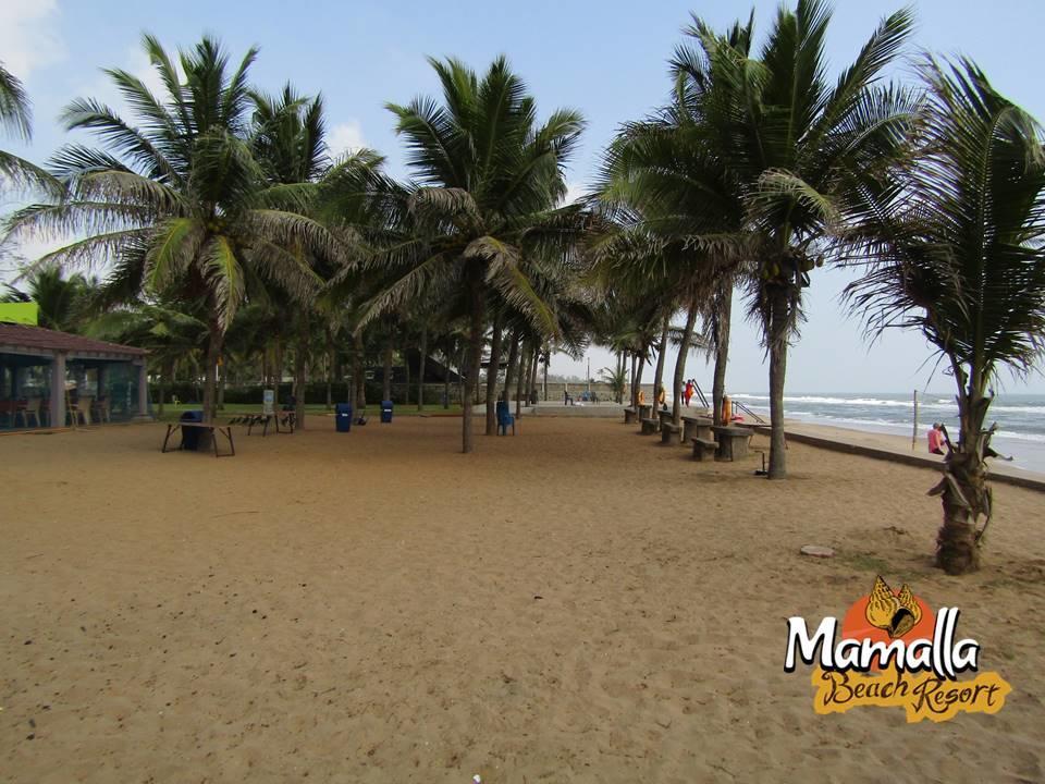 Mamalla Beach Resort مهاباليبورام المظهر الخارجي الصورة
