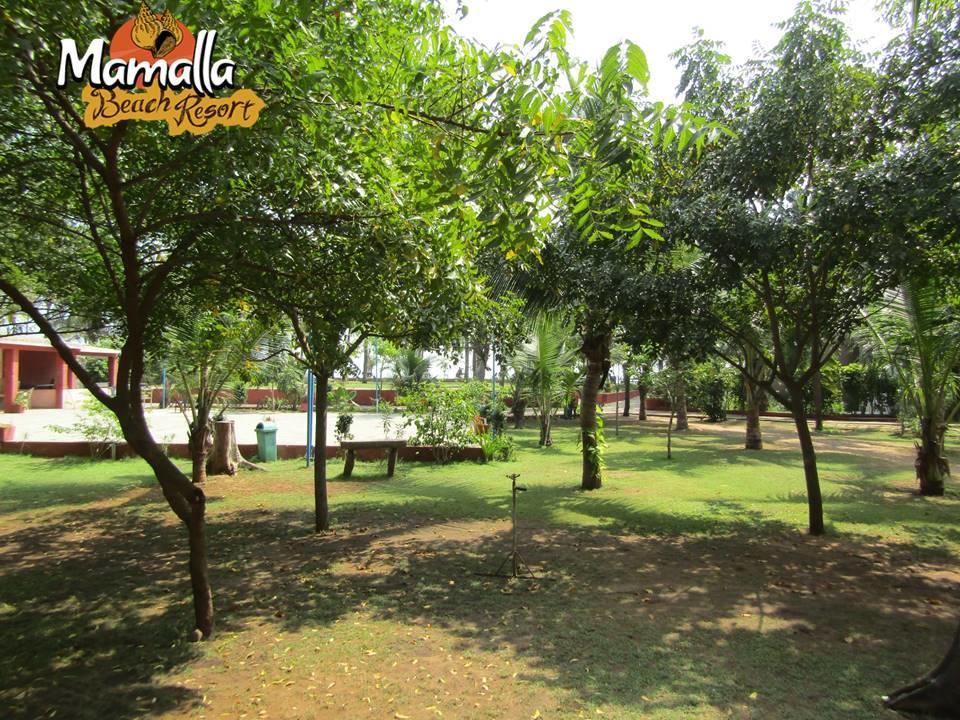 Mamalla Beach Resort مهاباليبورام المظهر الخارجي الصورة
